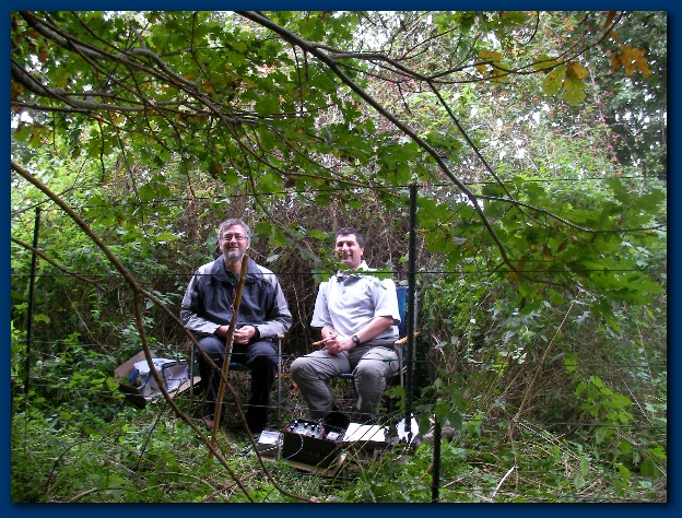 600x449 pixels (230K)